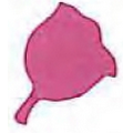 Mylar Confetti Shapes Rose (2")